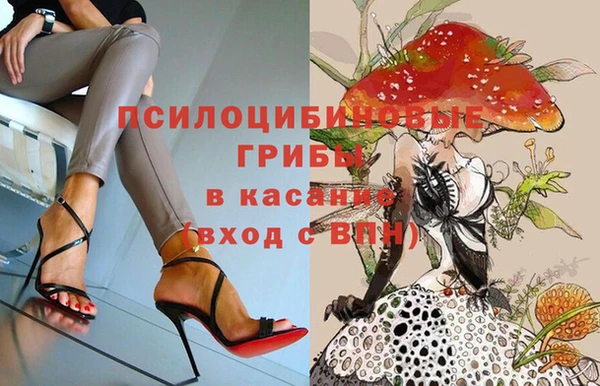 бутират Белокуриха