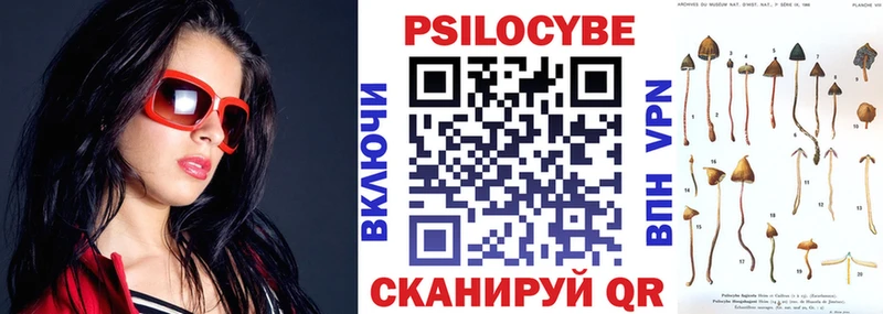 Галлюциногенные грибы Psilocybine cubensis  Кодинск 